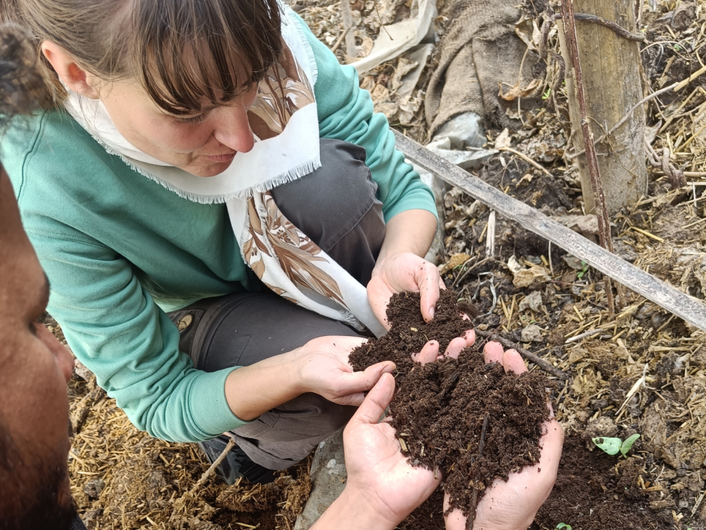 Volunteering and learning at Bhoomi Organics